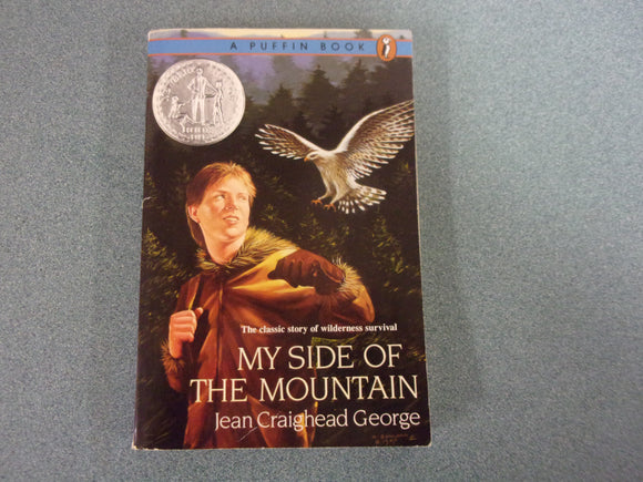 My Side Of The Mountain by Jean Craighead George (Paperback)