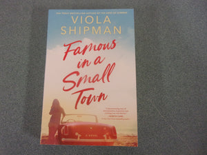 Famous in a Small Town by Viola Shipman (Paperback)