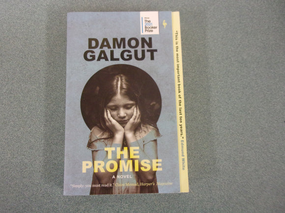 The Promise by Damon Galgut (Trade Paperback)