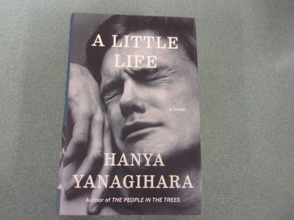 A Little Life: A Novel by Hanya Yanagihara (HC/DJ)