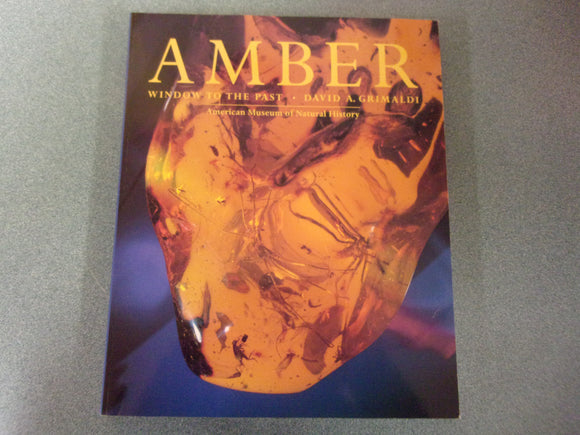 Amber: Window to the Past by David A. Grimaldi (Paperback)