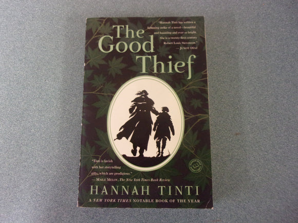 The Good Thief by Hannah Tinti (Paperback)