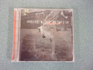 Hootie & The Blowfish: Musical Chairs (Music CD)
