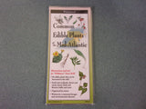 Common Edible Plants of the Mid-Atlantic by "Wildman" Steve Brill (Laminated Pamphlet)