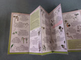 Common Edible Plants of the Mid-Atlantic by "Wildman" Steve Brill (Laminated Pamphlet)