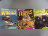 Set of 6 Animal Lives Books (Paperback)