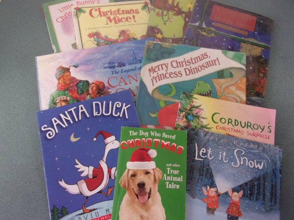 10 Assorted Christmas & Winter Themed Picture Books for Younger Readers