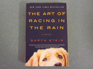 The Art Of Racing In The Rain by Garth Stein (Trade Paperback)