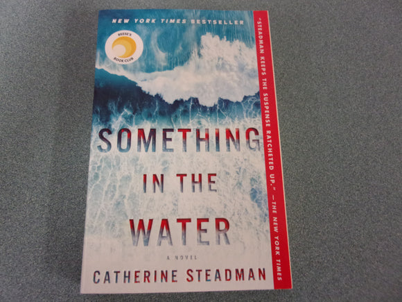 Something In The Water by Catherine Steadman (Paperback)