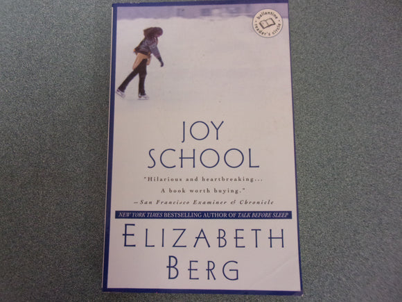 Joy School by Elizabeth Berg (Trade Paperback)