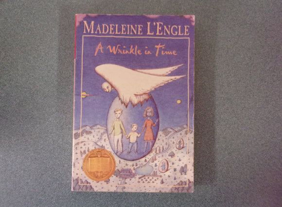 A Wrinkle In Time by Madeleine L'Engle (Paperback)