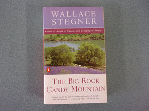 The Big Rock Candy Mountain by Wallace Stegner (Trade Paperback)