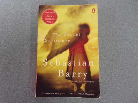 The Secret Scripture: McNulty Family, Book 2 by Sebastian Barry (Paperback)