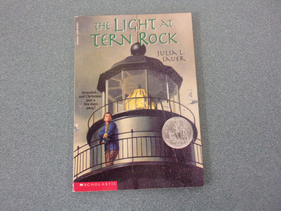 The Light At Tern Rock by Julia L. Sauer (Paperback)