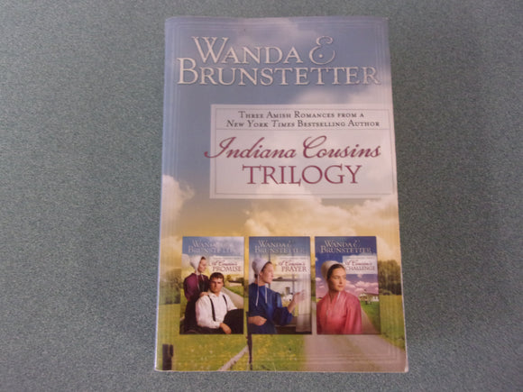 Indiana Cousins: 3 Best Selling Amish Romance Novels by Wanda E Brunstetter (Paperback)