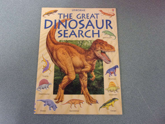 The Great Dinosaur Search by Rosie Heywood (Usborne Paperback)