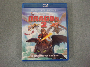 How To Train Your Dragon 2 (Choose DVD or Blu-ray Disc)