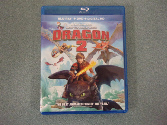 How To Train Your Dragon 2 (Choose DVD or Blu-ray Disc)