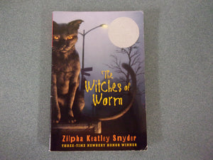 The Witches of Worm by Zilpha Keatley Snyder (Paperback)